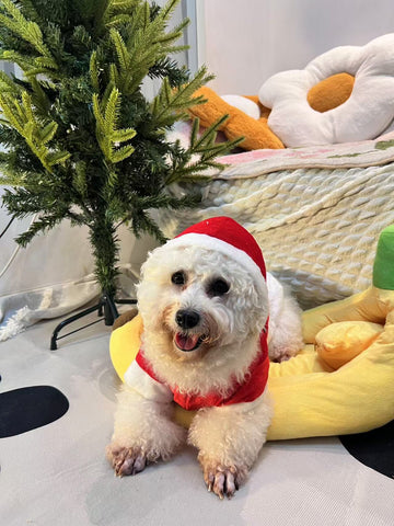 christmas santa hoodie