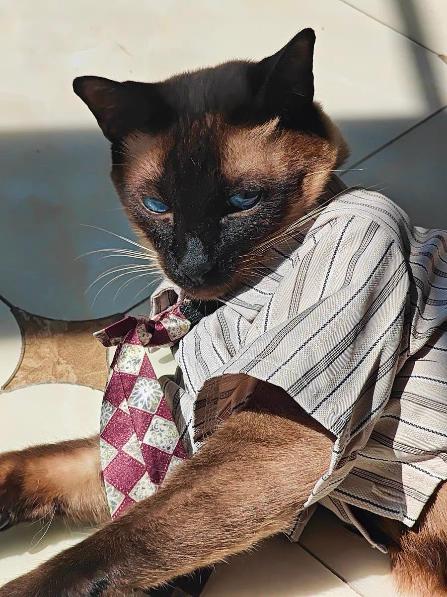 yuppie gentleman shirt with removable tie